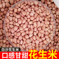 京喜 JX 河南大白沙花生米 無(wú)殼生花生仁 24年新貨粉皮花生米榨油煲湯熬粥 白沙花生米500g凈重（1斤）