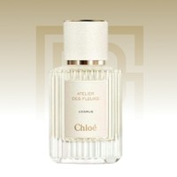Chloé 蔻依 仙境花園系列 北國(guó)雪松女士濃香水 EDP 50ml