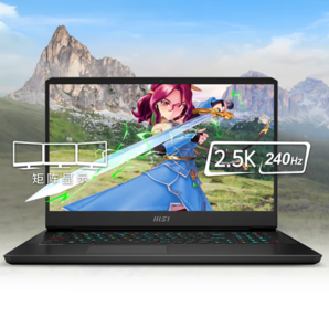 微星 雷影17 七代銳龍版 17.3英寸 游戲本 黑色（銳龍R9-7945HX、RTX 4060 8G、16GB、1TB SSD）