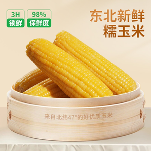 2024新鮮東北黃糯玉米白苞米真空包裝黑粘玉米即食代早餐10根大棒