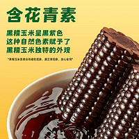 十月稻田 SHI YUE DAO TIAN 黑糯玉米 3.52斤(220g*8根) 東北甜黏玉米棒 早餐苞米 真空包裝