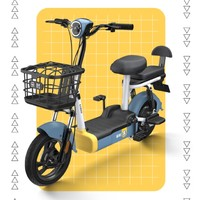 金箭 48V12Ah鉛酸電池電動自行車  彩暖綠