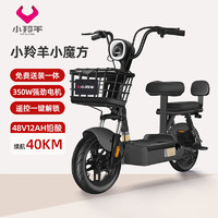 小羚羊 小魔方48V12AH鉛酸電動車可上牌電動自行車免費送裝上門 源彩黑