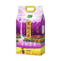 十月稻田 SHI YUE DAO TIAN 寒地之最 香稻貢米 5kg