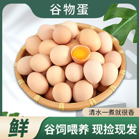 憶鄉(xiāng)嶺 鮮雞蛋 散養(yǎng)谷物蛋 農(nóng)家山林喂養(yǎng) 30枚裝