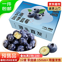 京鮮生 云南藍莓 12盒 125g/盒 15mm+ 新鮮水果 源頭直發(fā) 包郵