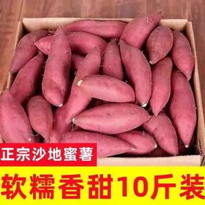蜜薯新鮮紅薯10斤農(nóng)家香甜薯板栗黃心烤地瓜糖心小番薯山芋自提