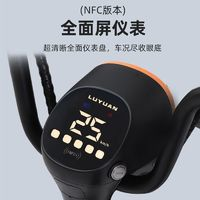 綠源 新國標(biāo)電動自行車48V成人男女電動車時(shí)尚親子長續(xù)航電瓶車