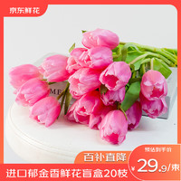 某東鮮花 郁金香鮮花盲盒20枝  云南昆明基地源頭直發(fā)