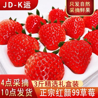 美水樂虹 丹凍紅顏99奶油大草莓涼山年貨節(jié)新鮮水果草莓禮盒 3斤中大果禮盒裝 S+級現(xiàn)摘現(xiàn)發(fā)
