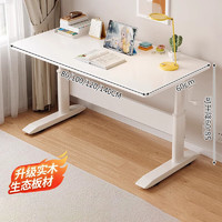 耐賽爾 NSE 升降落地電腦桌  單桌 80x60cm
