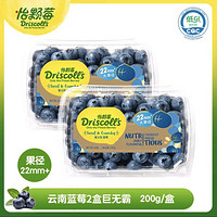 Driscoll's 怡顆莓 蜜之枚云南藍(lán)莓 巨無霸22mm+ 2盒裝 200g/盒