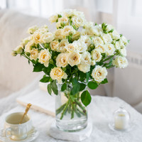 ToSpring   38婦女節(jié) 玫瑰花隨機(jī)色 買5支送5支（60朵花頭至少）