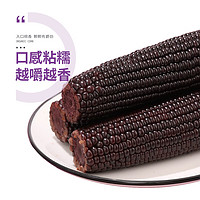 珍谷誘惑 黑糯玉米10支 1.8kg*1箱