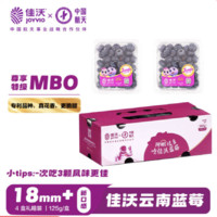 佳沃 云南當(dāng)季藍(lán)莓MBO系列 18mm+大果 4盒禮盒裝 約125g/盒