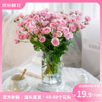 鮮花 芳華綺夢(mèng)多頭玫瑰 10支
