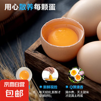 京喜加 山林自養(yǎng)鮮雞蛋 土雞蛋  鮮雞蛋 五谷喂養(yǎng) 10枚400g