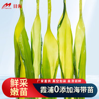 目海 福建霞浦 頭水鮮嫩海帶苗 500g*4包