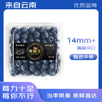 京鮮生 黑標(biāo) 云南藍(lán)莓 14mm+ 4盒 125g/盒 脆甜口感（贈(zèng)藍(lán)莓苗）