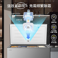 容聲 冰柜 300升 一級能效 BD/BC-300ZMSMA