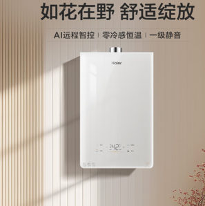 20點！Haier 海爾 小紅花系列 JSQ31-16KL5MAXFU1 強排式燃氣熱水器 16L（補全國）