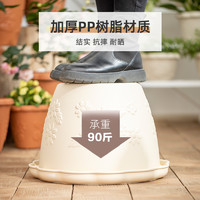 愛麗思 愛麗絲花盆加侖植物控根創(chuàng)意綠蘿多肉蘭花塑料樹脂愛麗思盆浮雕