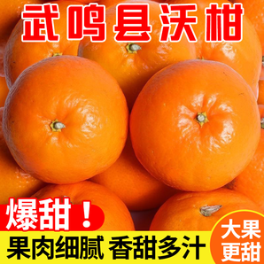 正宗廣西武鳴縣沃柑當(dāng)季新鮮水果香甜多汁皮薄柑橘桔子品質(zhì)5/9斤