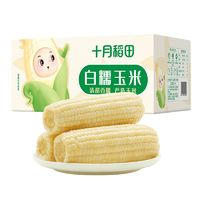 十月稻田 SHI YUE DAO TIAN 白糯玉米2.2kg/10支東北吉林玉米軟糯香甜