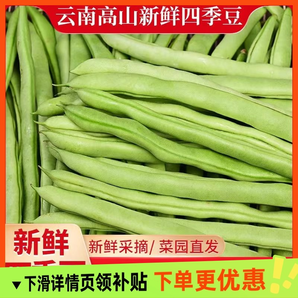 新鮮現(xiàn)摘四季豆云南豆角農(nóng)家自種應(yīng)季蔬菜長(zhǎng)扁蕓豆子整箱包郵炒菜