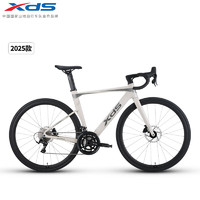 喜德盛 AD300 公路車(chē) 白蛇 480mm