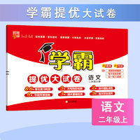 2025春學(xué)霸提優(yōu)大試卷（年級、科目任選）