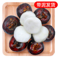 青沃 京鮮生廣西荔浦馬蹄 凈重5斤裝 新鮮荸薺 蔬菜 源頭直發(fā)