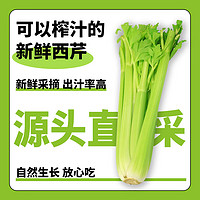 魯禧 榨汁芹菜嫩心