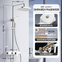 箭牌衛(wèi)浴 AE34211MZCP-P2 淋浴花灑套裝 銀色