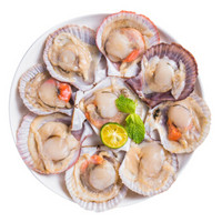 京鮮生 鮮活大美貝 5斤 每斤15-20粒