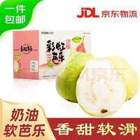京鮮生 樹熟軟糯奶油芭樂 凈重3斤裝單果150g+