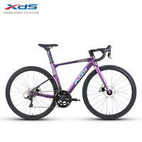 喜德盛 AD300 公路車 100057340550