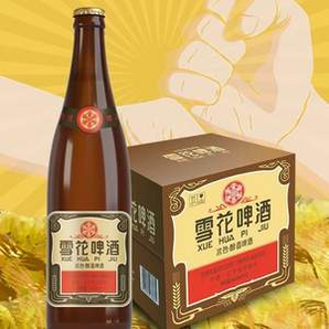 雪花啤酒 沈陽經典 老雪花 640mL*12瓶*2箱