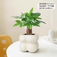 佰花錦 辦公室桌面綠植盆栽室內(nèi)客廳奶油風(fēng)綠植 單桿發(fā)財(cái)樹+PVC白泡泡盆 整體高度約15-25cm