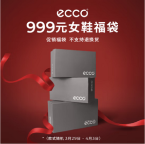 ECCO 愛步 女鞋福袋2雙裝（款式隨機(jī)）