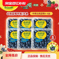 Driscoll's 怡顆莓 新鮮應(yīng)季水果云南藍莓中/大果 4盒