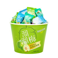 溜溜梅 果干家庭分享桶 460g