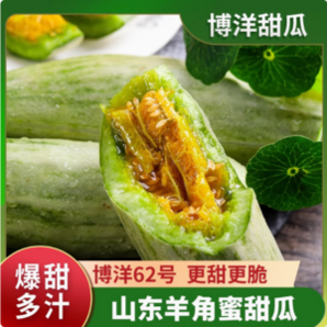 某寶買菜農(nóng)場直發(fā) 博洋62號羊角蜜甜瓜 凈重4.5斤/單果250g起