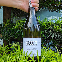 ALLAN SCOTT ?S TOP第1名新西蘭馬爾堡長相思干白葡萄酒