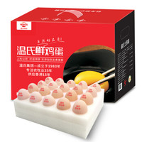 溫氏 雞蛋買一送一/供港鮮雞蛋 40枚