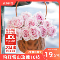 某東鮮花 玫瑰花粉紅雪山10支山東基地源頭直發(fā)