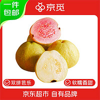 京覓 Jingmi 京覓 福建紅心白心雙拼芭樂 4.5斤 150g起+160g起