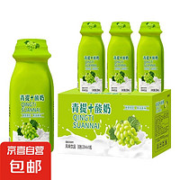 京喜 青提風味奶昔青提酸奶220ml 10瓶裝（熱銷款禮盒箱）