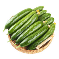 京覓 山東荷蘭水果黃瓜 凈重5斤 單果100g