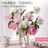 花點(diǎn)時(shí)間 重瓣芍藥 母親節(jié)鮮花 白色10枝